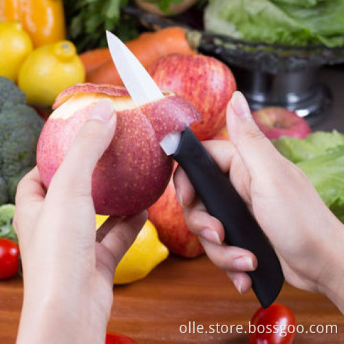 3'' Handy Fruit Peeling Knife